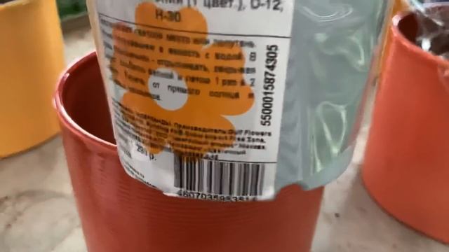 Прекрасные ОРХИДЕИ в ОБИ Лахта (СПБ). 14.08.21. Есть уценка. смотреть онлайн