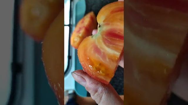 Томаты сокровище инков в разрезе смотреть онлайн