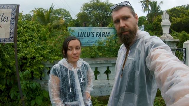 34. Влог Гоа Индия. Новая эпидемия или чем занять себя в сезон дождей. Рынок в Мапуса. смотреть онлайн