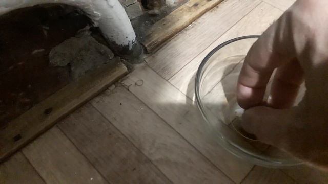 Как избавиться от мышей ЗА 3 минуты .!!!!!! смотреть онлайн