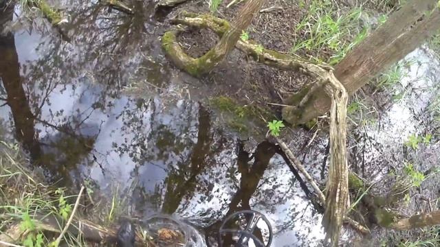 Коп 2021. А вот и редкая находка! Женский поиск монет с металлоискателем XP orx. смотреть онлайн