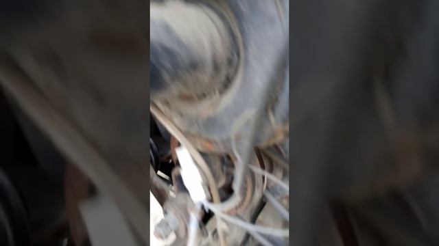 Паз 3205 2001 года выпуска смотреть онлайн