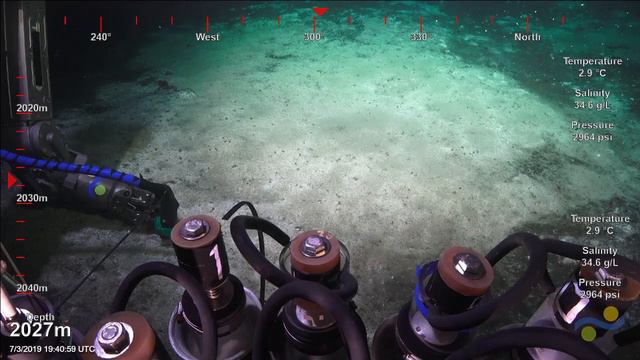 ROV SuBastian Dive 240 - Alvin Spire, N Cathedral and Big Pagoda Part Five смотреть онлайн