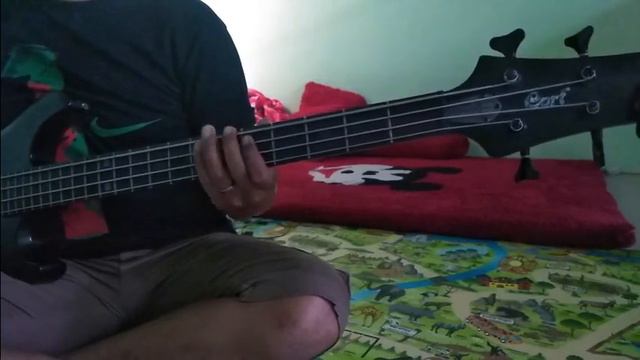 Two Doors Cinema Club - Undercover Martyn (Bass Cover) смотреть онлайн