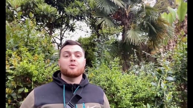 Радужные истории