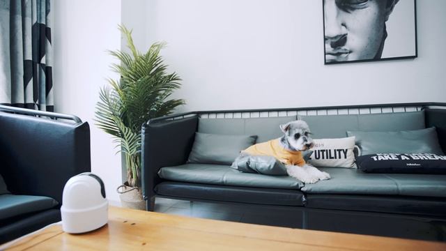 Imou Ranger 2C - Smart Indoor Pan&Tilt Camera смотреть онлайн