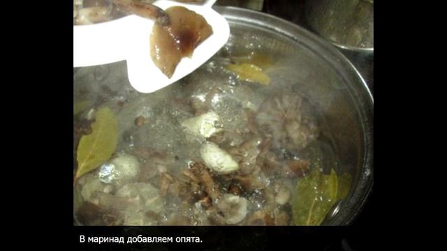 Маринованные опята на зиму в банках без уксуса в домашних условиях простой рецепт смотреть онлайн