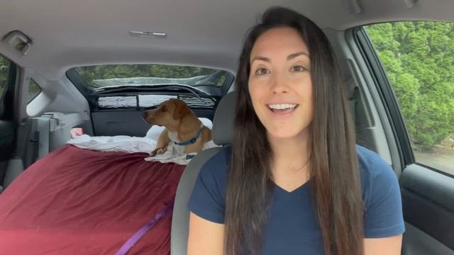 ICELAND - Blue Lagoon, Secret Waterfalls, The Golden Circle, Eating Rotten Shark & MORE!