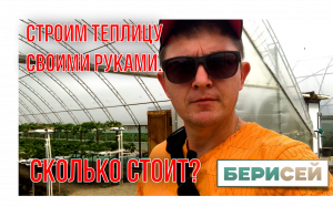 Строим теплицу своими руками. Сколько же она нам обошлась?