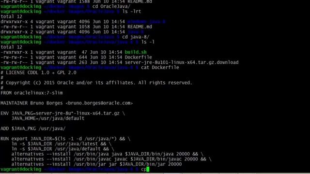 2. How to create docker container with Oracle Server JRE 8 смотреть онлайн