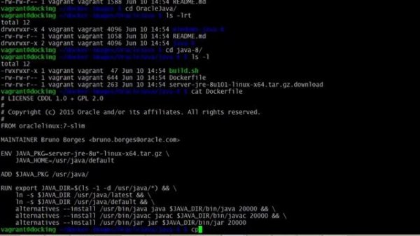2. How to create docker container with Oracle Server JRE 8