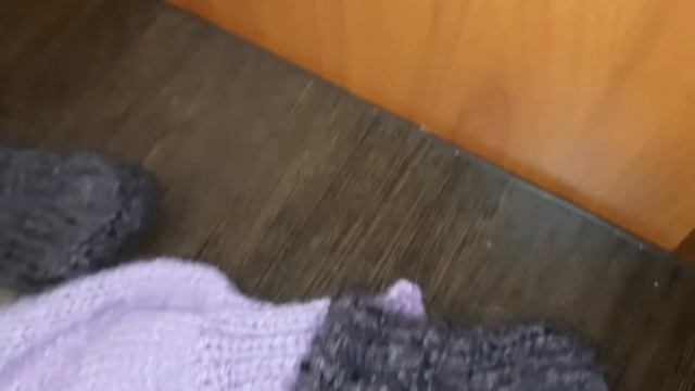 комбинезон для чихуахуа смотреть онлайн