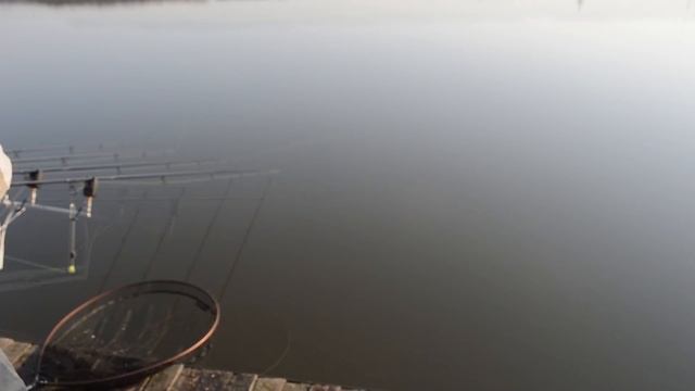 Рыбалка на карпа / Ловля карпа по холодной воде / Отличный клев в апреле 2019 / карп смотреть онлайн