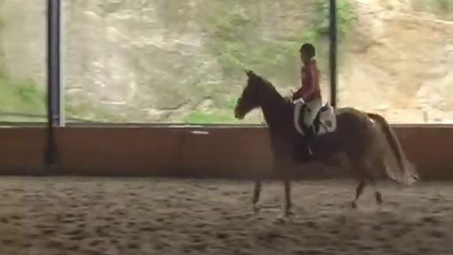 Chispa LS смотреть онлайн