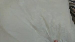 Стирка пуховой подушки