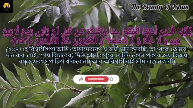 Sura Bakara Ayat 253-256. সুরা বাকারা বাংলা অনুবাদ সহ, Beautiful Quran #thebeautyofislamnan #video смотреть онлайн