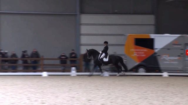 Edward Gal & Total US (Totilas) Grand Prix Debut - 80.7% смотреть онлайн