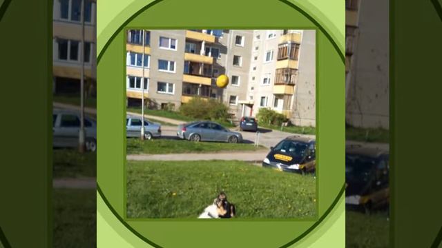 🐶sAш: Мои фотографии📷📷📷 смотреть онлайн