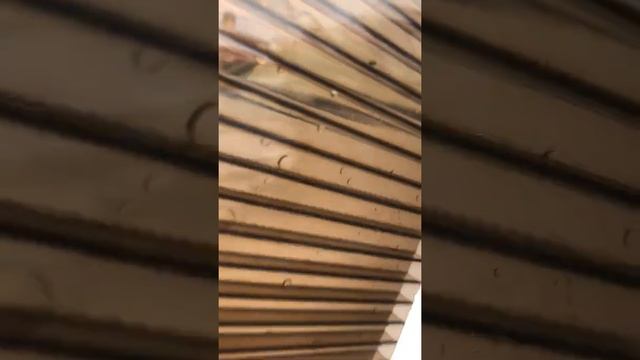 бронза сотовый поликарбонат под каплями дождя смотреть онлайн