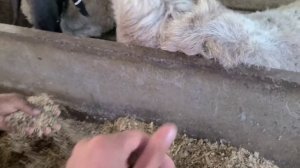 УЙ ШАРОИТИДА КУЙХОНА КУРИШ ХАМДА КУЙ БОКИШ УСЛУБИ