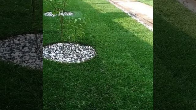 Благоустройство и укрепление склонов. смотреть онлайн