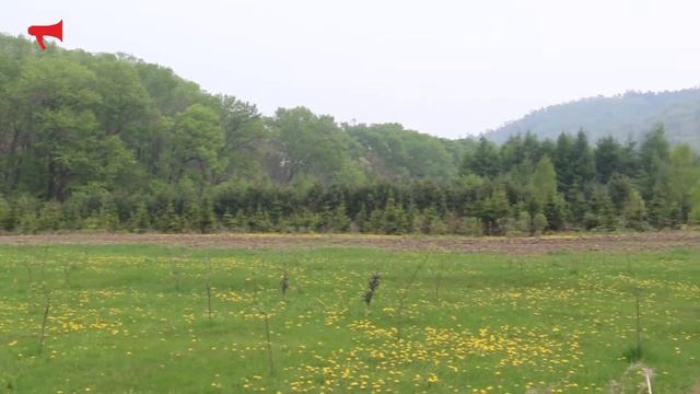 Акция «День кедра» в Уссурийском питомнике I проект Жизнь Приморья смотреть онлайн