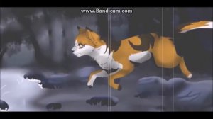 Cats Warriors||клиновица