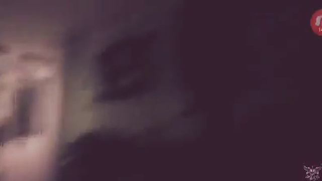 Вызов египетского кота смотреть онлайн