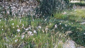 Рыночные Отношения - Базар за жизнь