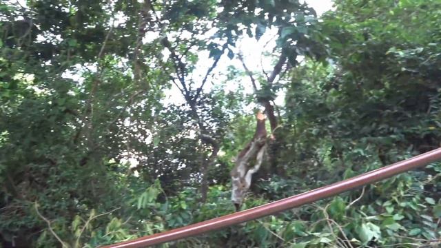 Мой любимый бесплатный пляж и дорога к нему, Benoa, остров Бали, Индонезия смотреть онлайн