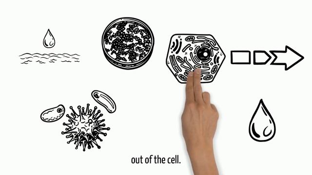 What is the Microbial growth requirements for microbes? Let's check it out! смотреть онлайн