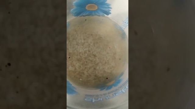 Зачем замачивать орехи, семена, зерна и бобы смотреть онлайн