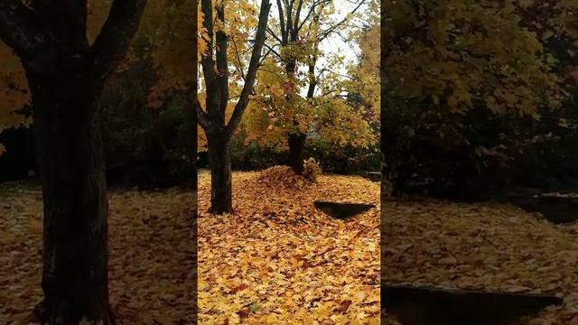 Осень рисует красками смотреть онлайн