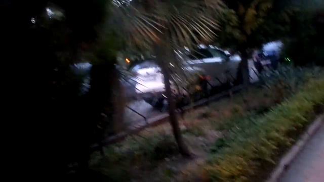 21-10-2018 сочи пальмы часть-13 смотреть онлайн