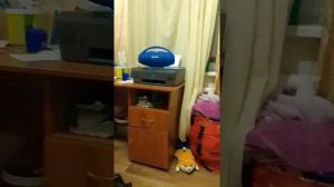 колонка Маруся хамка !