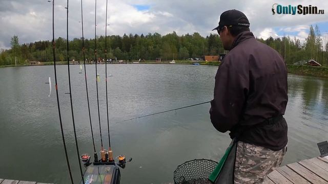 ФИНАЛЬНАЯ часть турнира в Питере. Ловля форели. Рыбалка с #OnlySpin смотреть онлайн