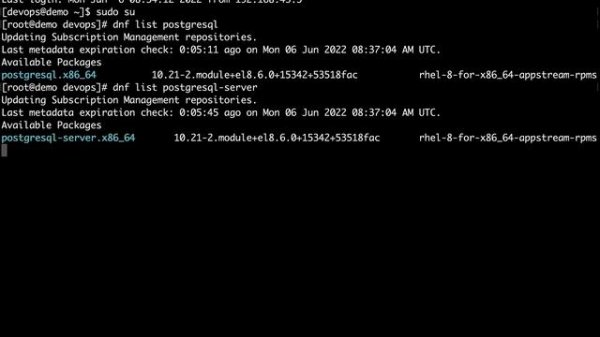 Install PostgreSQL in RedHat-like systems - Ansible modules yum, stat, shell, service