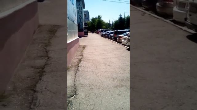 Два кабана на электросамокате Kugoo C1 Pro. Тест на нагрузку - 170 кг, по Самаре. Поедет? смотреть онлайн