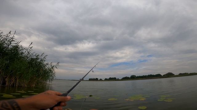 Ловля окуня на ультралайт, рыбалка в последние дни лета. Супер клев #рыбалка #fishingvideo смотреть онлайн