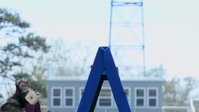 2019 AWDF Championship смотреть онлайн