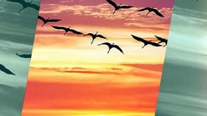 МАКСИМ КУСТ ЖУРАВЛИ.mp4