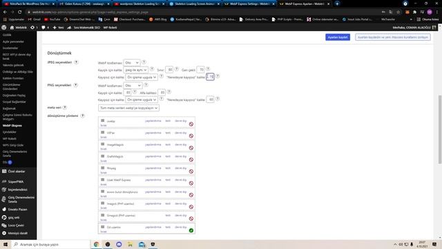 WordPress Görsel Optimizasyonu | Google PageSpeed - Resimleri yeni nesil biçimlerde yayınlayın. смотреть онлайн