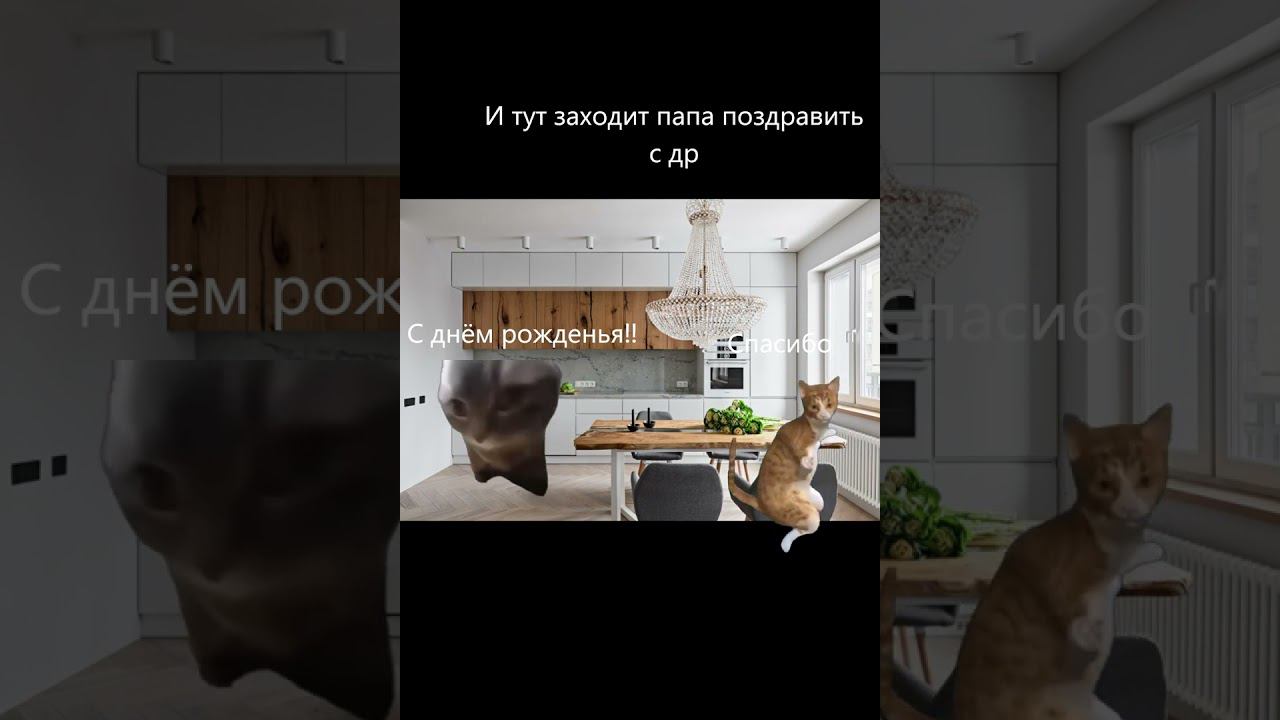 Рил: мой др все части #catshorts смотреть онлайн