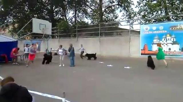 Есей, выставка Великий Новгород, 17.08.18 смотреть онлайн