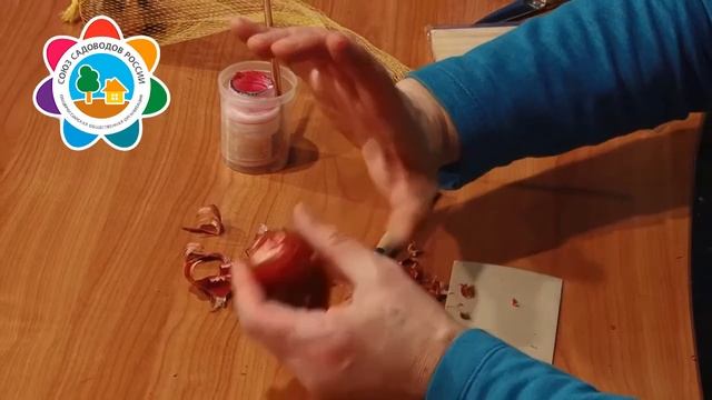 Садоводческие лайфхаки Подготовка луковиц гладиолусов смотреть онлайн