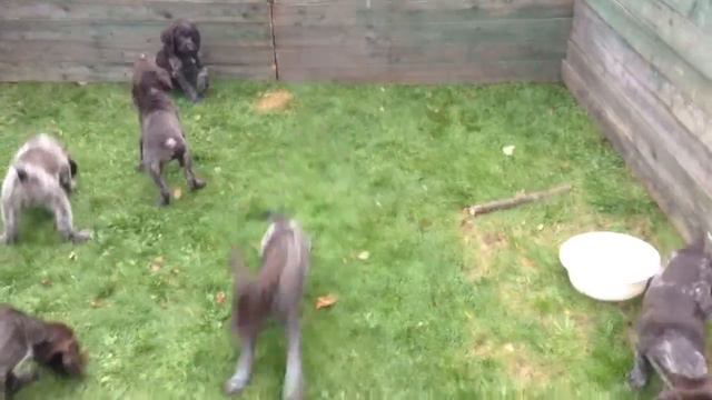 trim 2487E2B5 5B33 47EB 9445 1D118445D7F6 смотреть онлайн