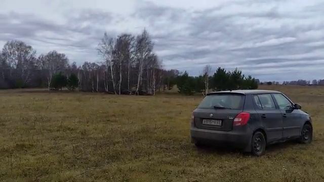 Поездка на поле в конце сезона. Выводы о сезоне, мысли в слух подытог сезона 2023. смотреть онлайн