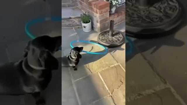 Решил проблему! смотреть онлайн