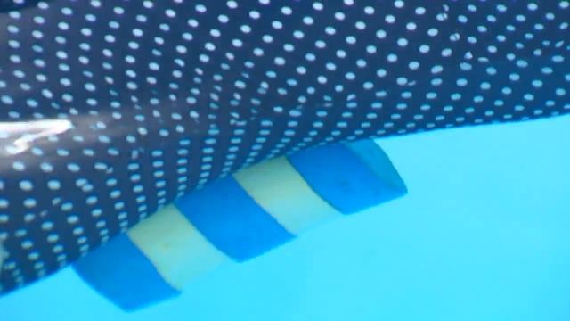 Плавание для беременных смотреть онлайн