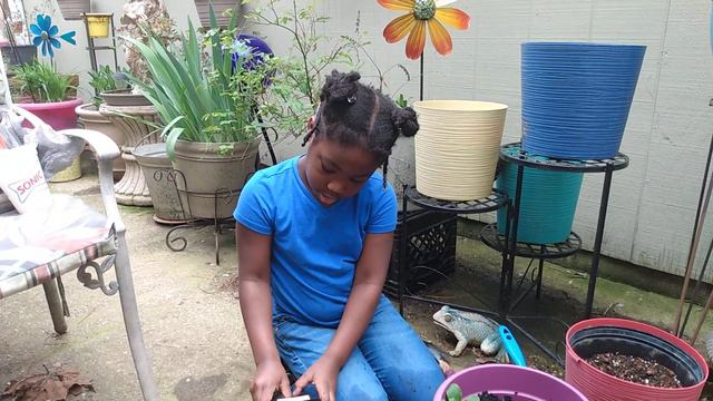 Adding Annual Flowers To The Butterfly Garden